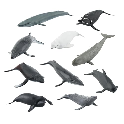 AMSLSIU Realistische Wal Figuren, Spielzeug für frühes Lernen, robust und zuverlässig, einzigartige Form, Geschenke, Ozeane, Meerestiere, Figuren Set von AMSLSIU