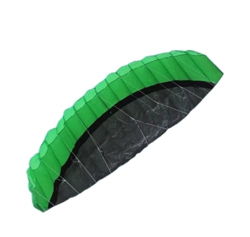 AMULONG Kites, 2,5 mt im freien Drachen dual line parafoil Kites Stunt Parachute Strand Kite surfen Regenbogen Macht segeln Fliegende Tools Lugdrachen(D) von AMULONG