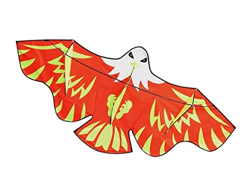 AMULONG Kites, Adler-Drachen Mit 78,7 Zoll Spannweite Und Drachenschnur Für Anfänger, Einfach Zu Fliegen, Perfekt Für Spiele Und Aktivitäten Lugdrachen(B) von AMULONG