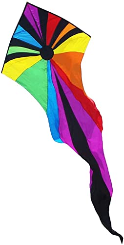 AMULONG Kites, Bunter Geisterdrachen Mit Langem Schwanz, Leicht Zu Fliegen, Für Strandausflug, Park, Familie, Spiele Und Aktivitäten Im Freien Lugdrachen(A,260M) von AMULONG