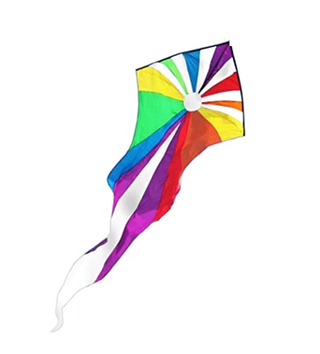 AMULONG Kites, Bunter Geisterdrachen Mit Langem Schwanz, Leicht Zu Fliegen, Für Strandausflug, Park, Familie, Spiele Und Aktivitäten Im Freien Lugdrachen(B,400m) von AMULONG