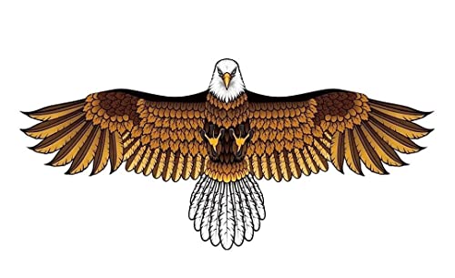 AMULONG Kites, Eagle Kite Mit 63 "Spannweite, Einfach Zu Fliegen, Eine Großartige Möglichkeit, Die Sommerzeit Mit Freunden Und Familie Zu Genießen Lugdrachen(100m) von AMULONG