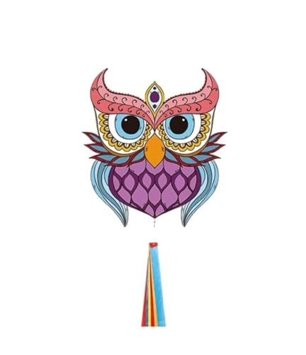 AMULONG Kites, Eule Drachen leicht zu fliegen 27,58 "Kites for Jungen Mädchen im Freien Spiele und Aktivitäten Kites mit Kite String Lugdrachen(A,400m Kite String) von AMULONG
