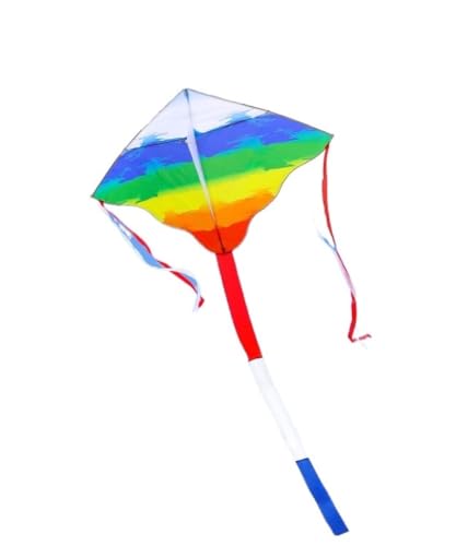 AMULONG Kites, Gradient Rainbow Helle Farben Breeze Kann Für Anfänger Fliegen Drachen Spiele Und Aktivitäten Im Freien Drachen Lugdrachen(100 * 155cm,260m line) von AMULONG