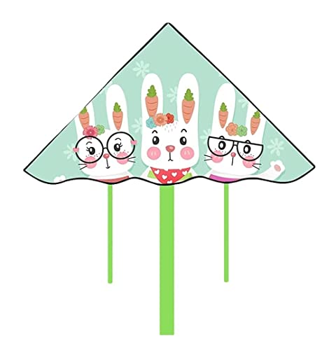 AMULONG Kites, Hasendrachen Mit Drachenschnur Für Anfänger Dreiecksdrachen Mit Schwanz, Perfekt Für Outdoor-Aktivitäten Lugdrachen(100m String) von AMULONG