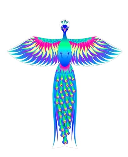 AMULONG Kites, Leicht zu fliegen Große Bunte Drachen for Anfänger Jungen Mädchen Outdoor-Aktivitäten Sommer Außenspielzeug Strandspiele Lugdrachen(260m Kite String) von AMULONG