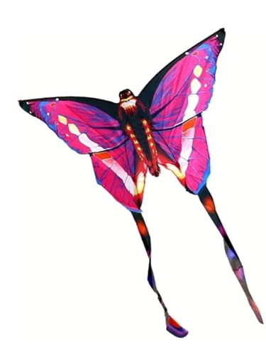 AMULONG Kites, Outdoor New Butterfly Triangle Kite 500 Meter Drachenleine Lugdrachen(A,500meter line) von AMULONG