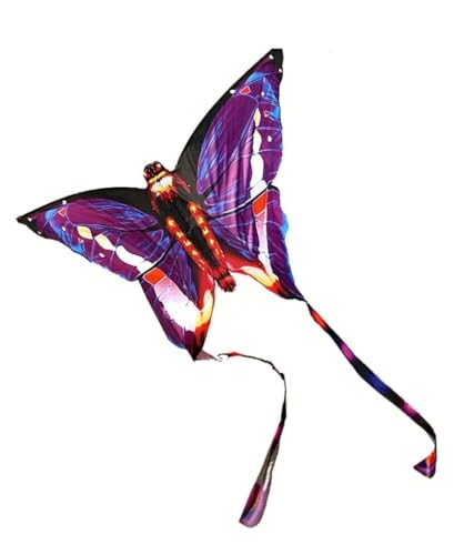 AMULONG Kites, Outdoor New Butterfly Triangle Kite 500 Meter Drachenleine Lugdrachen(B,300meter line) von AMULONG