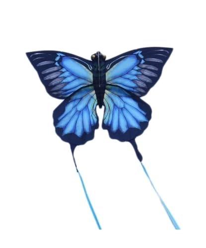 AMULONG Kites, Rainbow Drachenstrand Outdoor-Spiele einfach, um Fliegenriesen-Kite zu montieren Lugdrachen(B) von AMULONG
