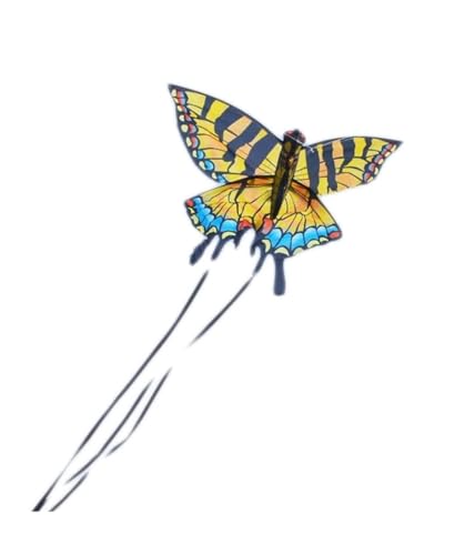 AMULONG Kites, Rainbow Drachenstrand Outdoor-Spiele einfach, um Fliegenriesen-Kite zu montieren Lugdrachen(C) von AMULONG