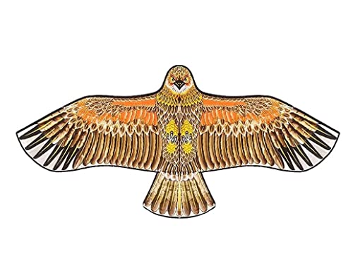 AMULONG Kites, Riesiger Adler-Drachen Mit 63 Zoll Spannweite. Toller Anfänger-Drachen, Einfach Zu Fliegen, Perfekt Für Strand Oder Park Lugdrachen(150m String) von AMULONG