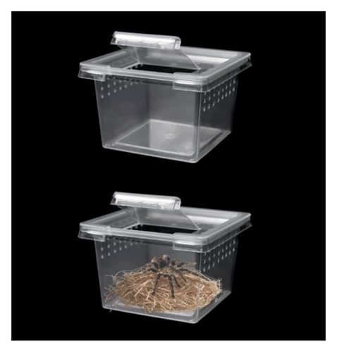 AMULONG Zuchtbox, Transport, 10 Packungen Insekten Spinne Terrarien Zucht Box Schraffur Container Futterkoffer von AMULONG