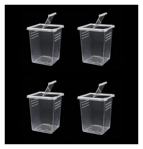 AMULONG Zuchtbox, Transport, 4 Packungen Reptilienzuchtbox Spinnenterrarium Befreiungsbox Futterkoffer von AMULONG
