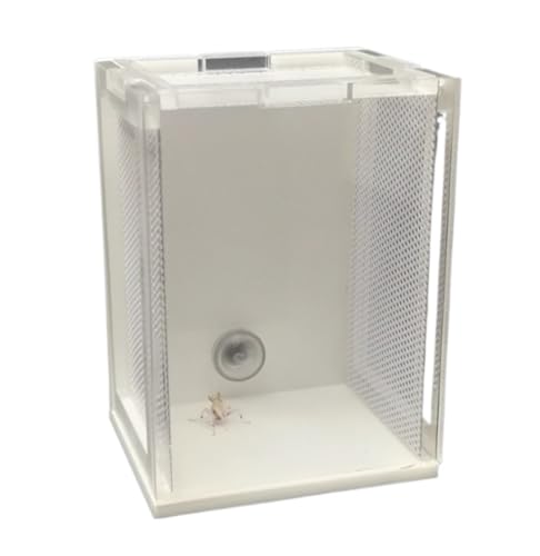 AMULONG Zuchtbox, Transport, Acryl Mantis Terrarium Fütterung Box Reptil Tank for Mantis Futterkoffer von AMULONG