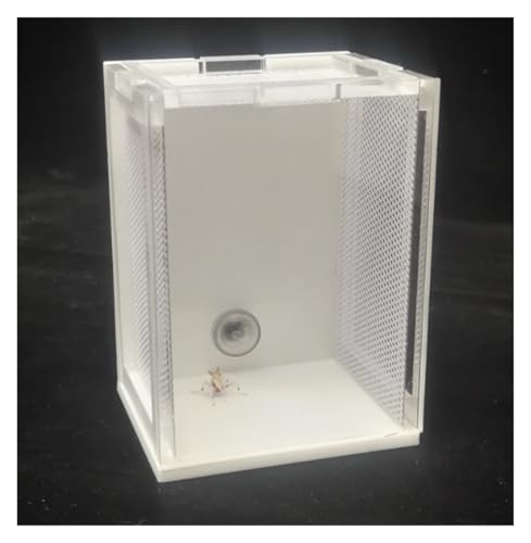 AMULONG Zuchtbox, Transport, Acryl Reptil Zucht Box Insekten Inkubator for Orchidee Mantis Futterkoffer AMULONG Zuchtbox, Transport, Acryl Reptil Zucht Box Insekten Inkubator for Orchidee Mantis Futterkoffer von AMULONG