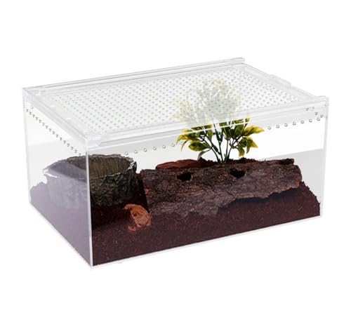 AMULONG Zuchtbox, Transport, Acryl-Reptiliengehege, Zuchtbox, Terrariumkäfig Futterkoffer(20x15x10cm) von AMULONG