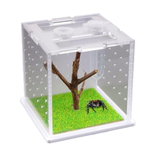 AMULONG Zuchtbox, Transport, Acryl Zucht Box Jumping Insect Habitat Schraffur Container Käfig Futterkoffer AMULONG Zuchtbox, Transport, Acryl Zucht Box Jumping Insect Habitat Schraffur Container Käfig Futterkoffer von AMULONG