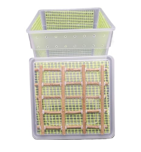 AMULONG Zuchtbox, Transport, Beobachtungskäfig for Gottesanbeterinnen, Insektenterrarium, Belüftete Gottesanbeterinnenbox Futterkoffer(Grün) von AMULONG