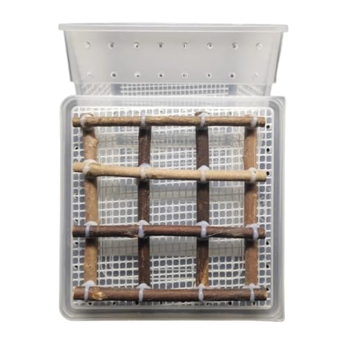 AMULONG Zuchtbox, Transport, Beobachtungskäfig for Gottesanbeterinnen, Insektenterrarium, Belüftete Gottesanbeterinnenbox Futterkoffer(White) von AMULONG