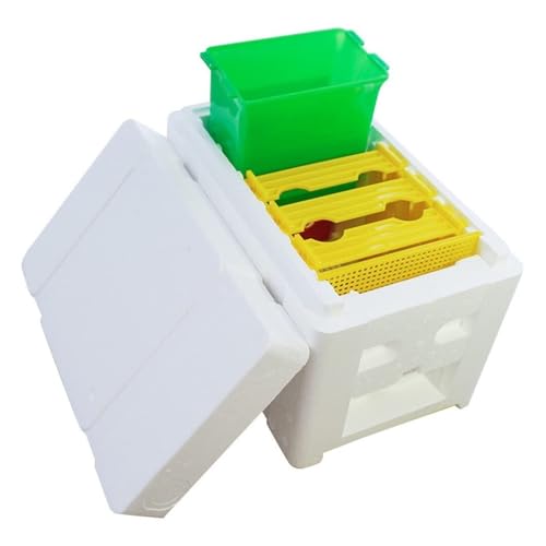 AMULONG Zuchtbox, Transport, Bienenzuchtkasten, Bienenzuchtkästen, Bienenzuchtkästen, Bienenstock, Bienenzuchtkästen, Bienenzuchtkästen Futterkoffer von AMULONG