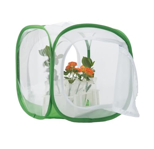 AMULONG Zuchtbox, Transport, Pop-up-Insektenkäfig Mit Zwei Türen for Schmetterlingshabitate Futterkoffer(Grün,30x30x30cm) von AMULONG