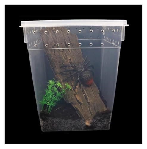 AMULONG Zuchtbox, Transport, Reptilien-Futterbox for Wirbellose, Gottesanbeterin, Spinne, Grille Futterkoffer von AMULONG