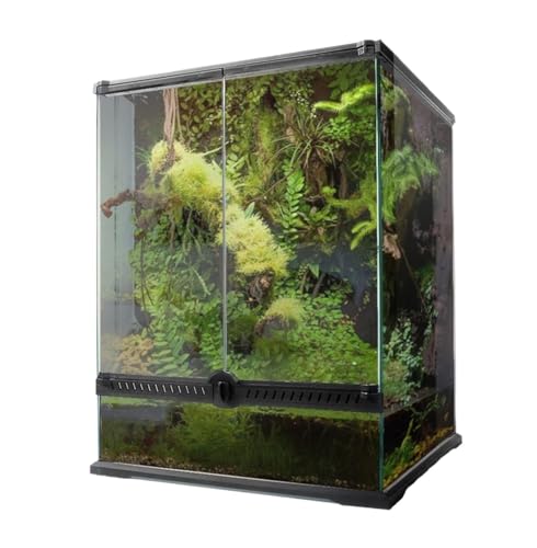 AMULONG Zuchtbox, Transport, Reptilien-Terrarium Aus Glas, Transparent, Futterbox, Zuchtbox Futterkoffer(30x45cm) von AMULONG