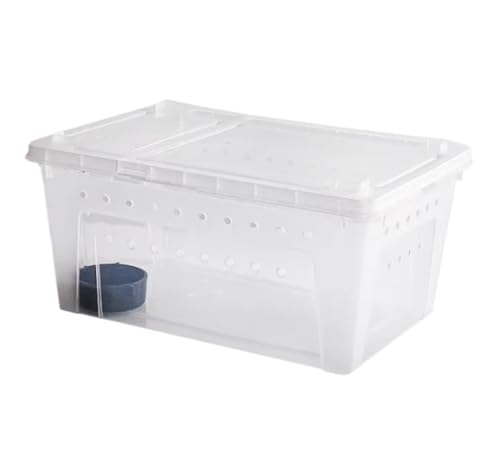 AMULONG Zuchtbox, Transport, Reptilien-Terrarium-Gehäuse, Insektenzuchtbox for Kleine Reptilien Futterkoffer(17cm) von AMULONG