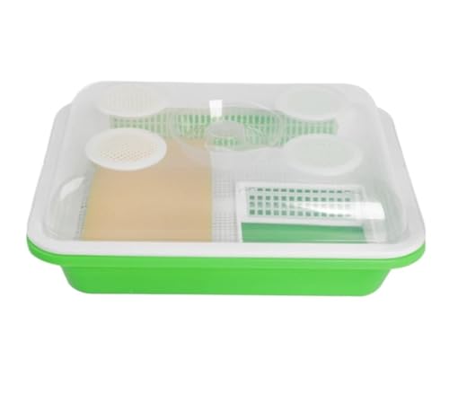 AMULONG Zuchtbox, Transport, Reptilien-Terrarium-Tank-Zuchtbox for Spinnen, Hornfrösche Futterkoffer von AMULONG