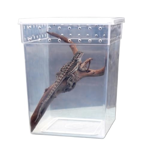 AMULONG Zuchtbox, Transport, Reptilien-Terrarium-Zuchtbox for Schlangen, Einsiedlerkrebse, Frösche, Insekten Futterkoffer von AMULONG