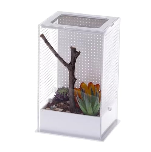 AMULONG Zuchtbox, Transport, Reptilien-Zuchtbox, Aufbewahrungs- Und Beobachtungsbox for Spinnengrillen Futterkoffer(20x12x10cm) von AMULONG