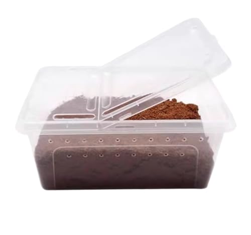 AMULONG Zuchtbox, Transport, Reptilienbox, Zuchtbox, Lebensraumkäfig, Schildkrötenbox, Frosch-Terrarium Futterkoffer(25.8cm) von AMULONG