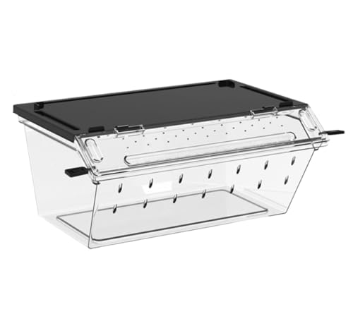 AMULONG Zuchtbox, Transport, Reptilienkäfig Aus Acryl, Transparentes Gehäuse, Reptilienzuchtbox Futterkoffer(Black,24.5x16x10.5cm) von AMULONG