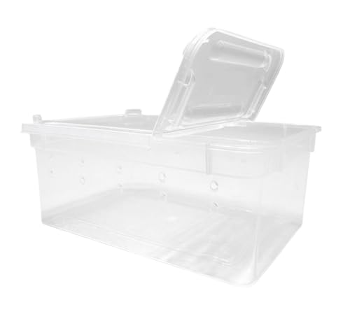 AMULONG Zuchtbox, Transport, Reptilienzuchtbox, Acryl, Reptilien-Terrarium, Schnecke Futterkoffer(37.5x24x16.5CM) von AMULONG