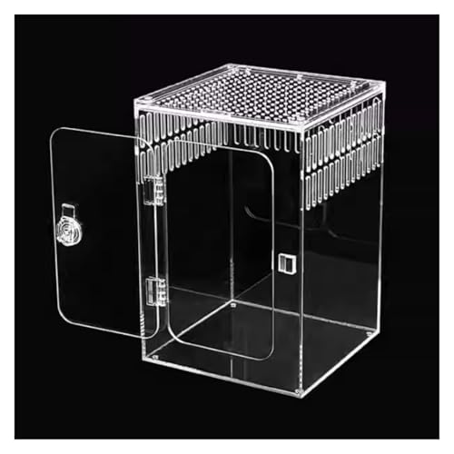AMULONG Zuchtbox, Transport, Terrarium for Springspinnen, Reptilien-Terrarium Mit Nach Vorne Zu Öffnender Tür Futterkoffer von AMULONG