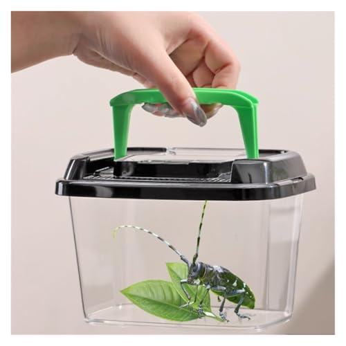 AMULONG Zuchtbox, Transport, Tragbares Insekten-Reptilien-Terrarium Mit Tragegriff for Reptilien Futterkoffer AMULONG Zuchtbox, Transport, Tragbares Insekten-Reptilien-Terrarium Mit Tragegriff for Reptilien Futterkoffer von AMULONG