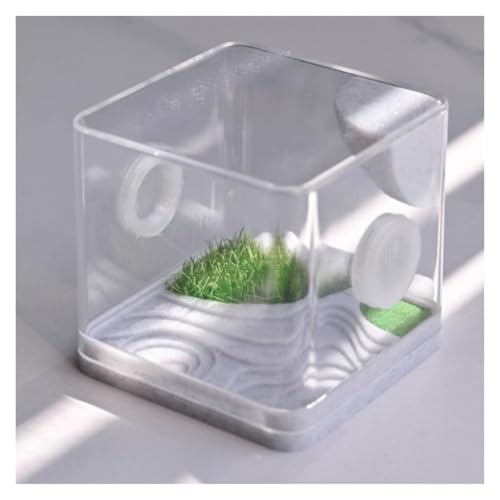 Zuchtbox, Transport, Gehege for Springspinnen, Terrarium-Gehege Aus Acryl for Reptilien Futterkoffer(5.4x5.5cm) von AMULONG