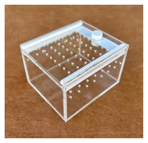 Zuchtbox, Transport, Reptil Acryl Fütterung Box Insekten Lebensraum Terrarium Fall for Spinnen Futterkoffer Zuchtbox, Transport, Reptil Acryl Fütterung Box Insekten Lebensraum Terrarium Fall for Spinnen Futterkoffer von AMULONG