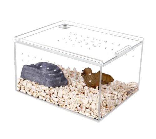 Zuchtbox, Transport, Terrarium-Zuchtbox for Kleine, Am Boden Lebende Reptilien Futterkoffer(10.5x8.5x6cm) von AMULONG
