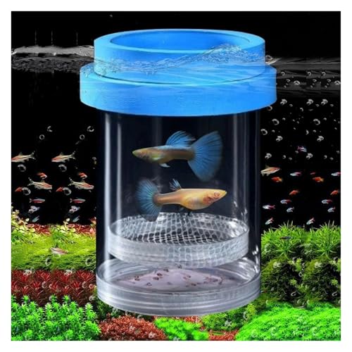 Zuchtbox, Transport, Zuchtbox for Aquarium, Zuchtkammer Aus Kunststoff Futterkoffer(15x10.2cm) von AMULONG