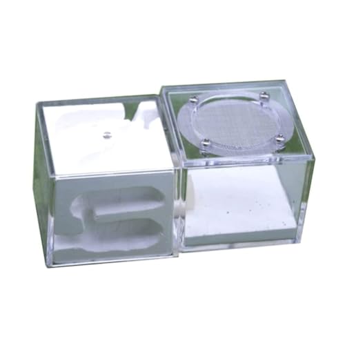 Ameisenfarm für Erwachsene Ameisenburg Ameisennest Gips Ameisenfarm Nest Palast Ameisennest Burg Kinder Ameisennest Farm Ameisen Terrarium(White) von AMYSTY