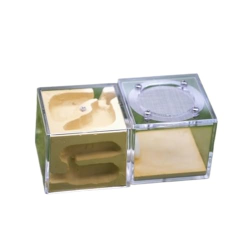 Ameisenfarm für Erwachsene Ameisenburg Ameisennest Gips Ameisenfarm Nest Palast Ameisennest Burg Kinder Ameisennest Farm Ameisen Terrarium(Yellow) von AMYSTY