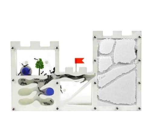 Ameisenfarm für Erwachsene Ameisenburg-Ökosystem Beobachten Sie Das Leben Der Ameisen Lernen Sie Die Wissenschaft Ameisenfarm Verbessern Sie Die Konzentration Ameisennestfarm Ameisen Terrarium(White) Ameisenfarm für Erwachsene Ameisenburg-Ökosystem Beobachten Sie Das Leben Der Ameisen Lernen Sie Die Wissenschaft Ameisenfarm Verbessern Sie Die Konzentration Ameisennestfarm Ameisen Terrarium(White) von AMYSTY