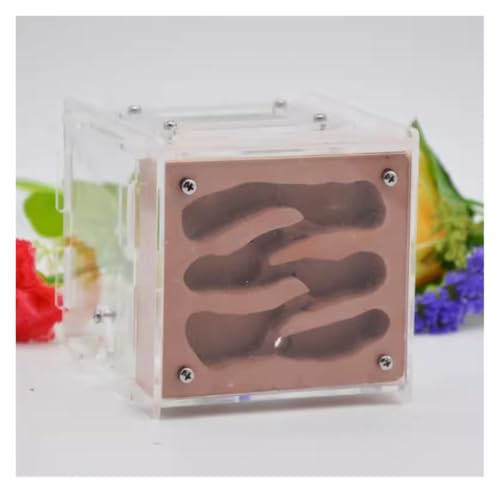 Ameisenfarm für Erwachsene Ameisenfarm DIY Habitat Ameisenhaus Mit Futterplatz Ameisennest Farm Ökologische Werkstatt Ameisenburg Ameisen Terrarium(Brown) von AMYSTY