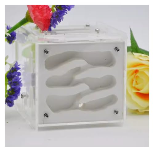 Ameisenfarm für Erwachsene Ameisenfarm DIY Habitat Ameisenhaus Mit Futterplatz Ameisennest Farm Ökologische Werkstatt Ameisenburg Ameisen Terrarium(White) von AMYSTY
