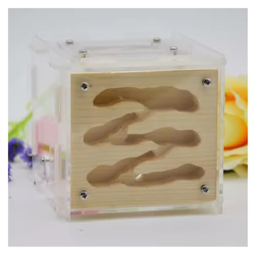 Ameisenfarm für Erwachsene Ameisenfarm DIY Habitat Ameisenhaus Mit Futterplatz Ameisennest Farm Ökologische Werkstatt Ameisenburg Ameisen Terrarium(Wood) von AMYSTY