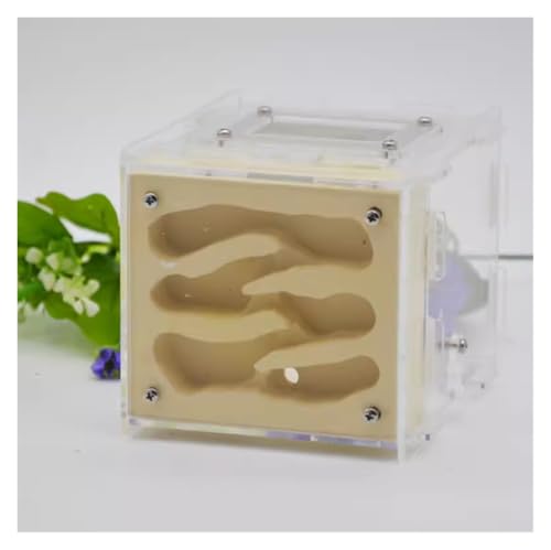 Ameisenfarm für Erwachsene Ameisenfarm DIY Habitat Ameisenhaus Mit Futterplatz Ameisennest Farm Ökologische Werkstatt Ameisenburg Ameisen Terrarium(Yellow) von AMYSTY