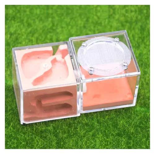 Ameisenfarm für Erwachsene Ameisenfarmschloss Ameisenburg Acrylameisennest Gipsameisennestfarm Acrylnestpalast Ameisen Terrarium(Rood) von AMYSTY