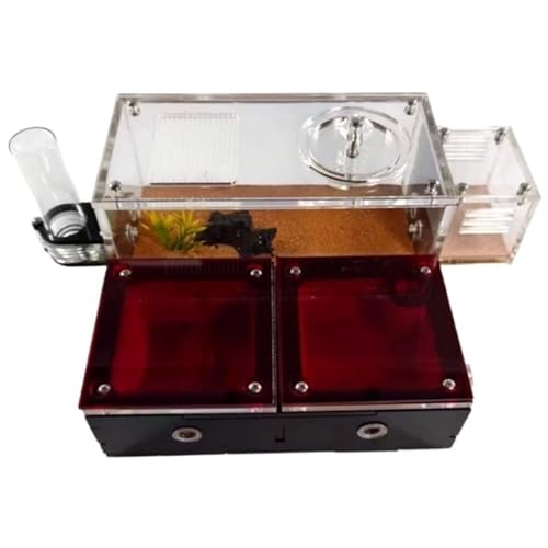 Ameisenfarm für Erwachsene Ameisenschloss Ökologische Box Ameisenfarm Lernen Sie Das Ameisenleben Ameisenhaufen Wissenschaftliche Bildung Ameisen Terrarium Ameisenfarm für Erwachsene Ameisenschloss Ökologische Box Ameisenfarm Lernen Sie Das Ameisenleben Ameisenhaufen Wissenschaftliche Bildung Ameisen Terrarium von AMYSTY