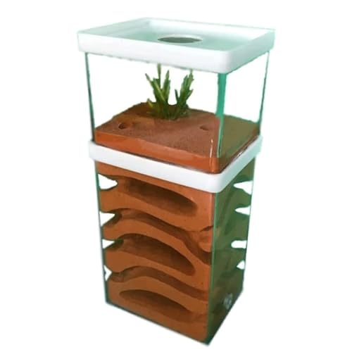 Ameisenfarm für Erwachsene Ant Castle Kunststoff Ant Farm Gips Ant Farm Fütterung Box Geschenk Ant Nest Castle Ameisen Terrarium von AMYSTY